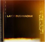 Layo & Bushwacka! - Rising and Falling