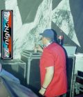 N#:81096 - DJ Pulsdriver (D)