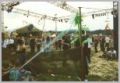 N#:8004 - Goa Floor