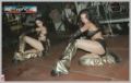 N#:13013 - Obsession Dancers !!!!!